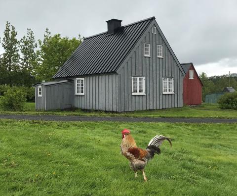 Hreggviður og Hansenshús